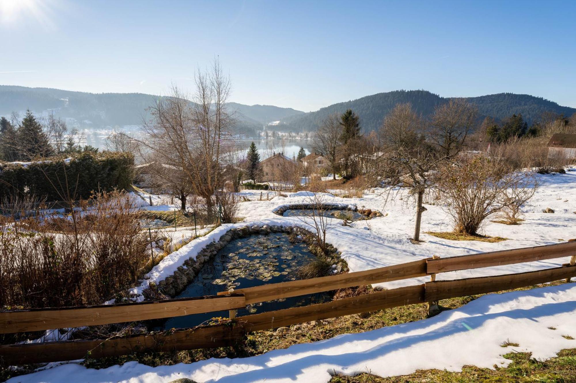 Moho Mountain Home Gérardmer Esterno foto